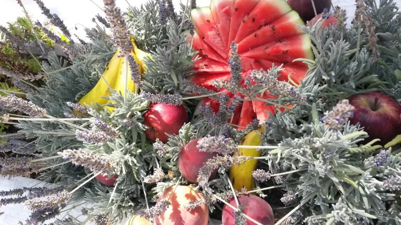 Vila Lavanda Πλάγια ντε λας Αμέρικας Ξενοδοχείο με διαμερίσματα