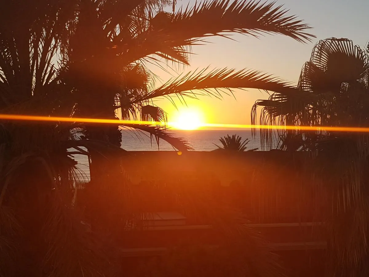 *** Aparthotel Vila Lavanda Playa de las Américas Spanien